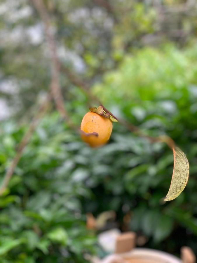 Teepee Đà Lạt