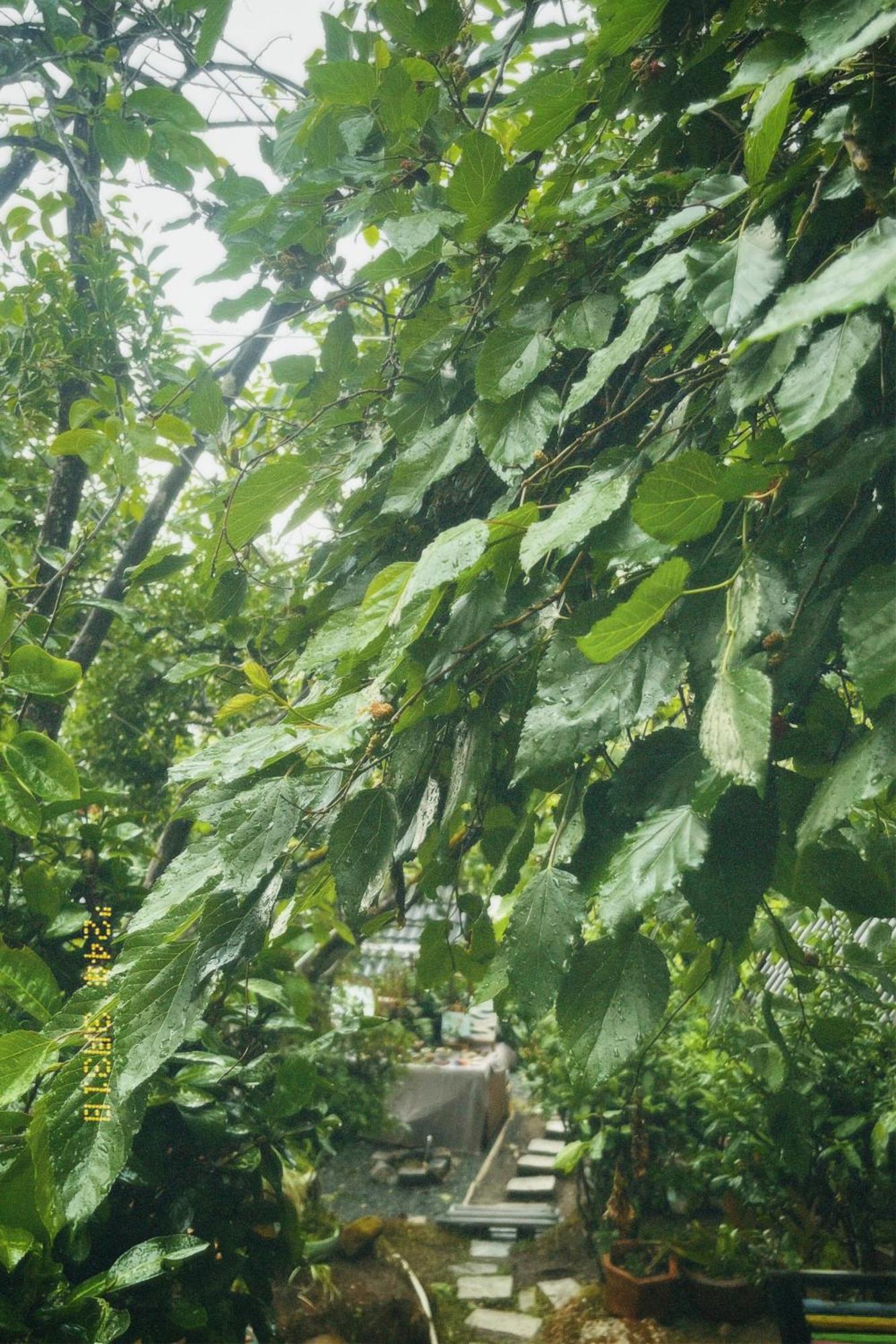 Teepee Đà Lạt