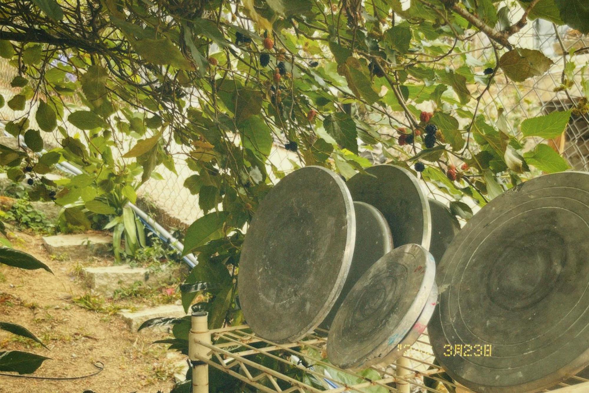 Nap * Đà Lạt