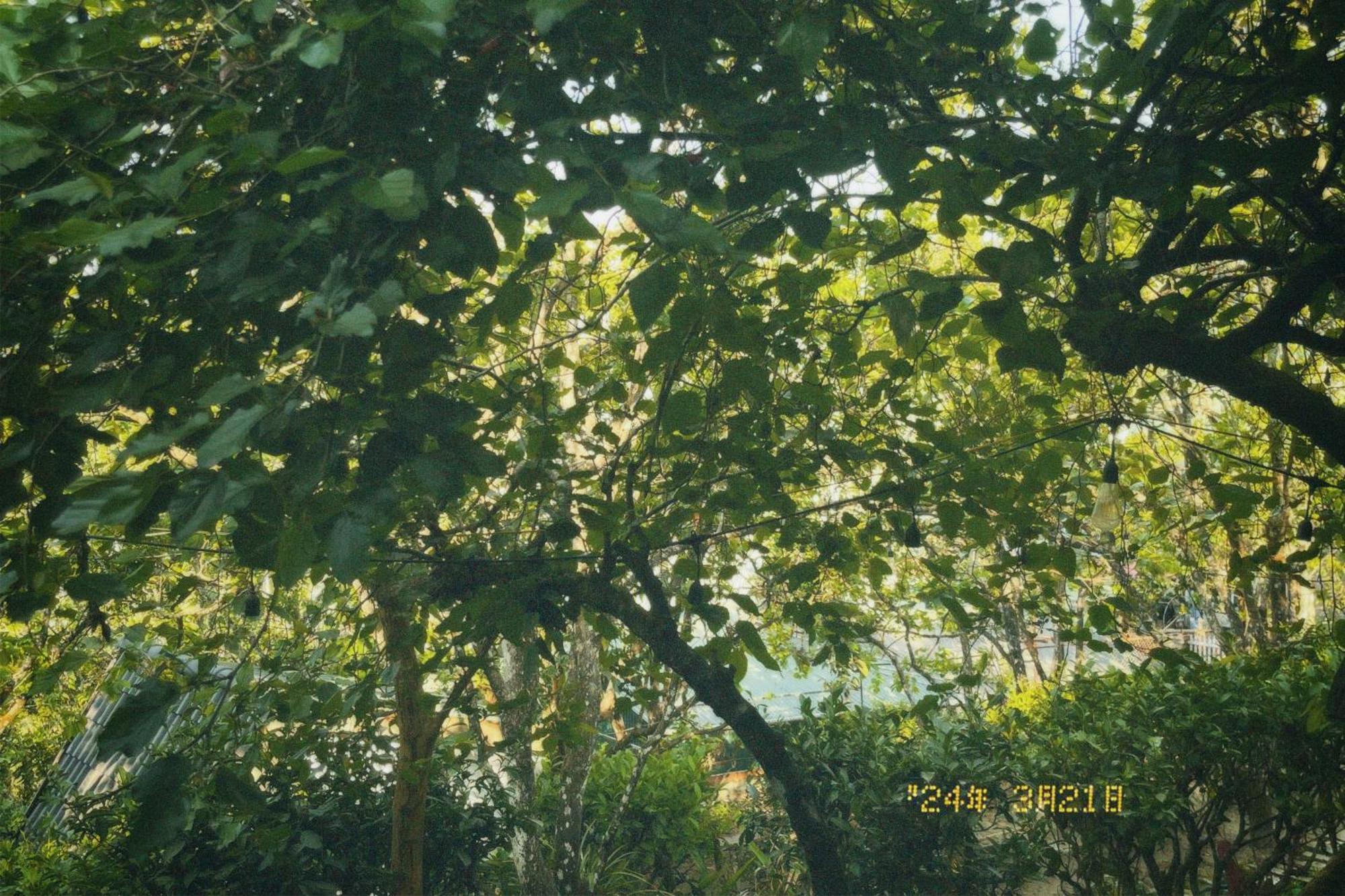 Privatunterkunft Nap Đà Lạt